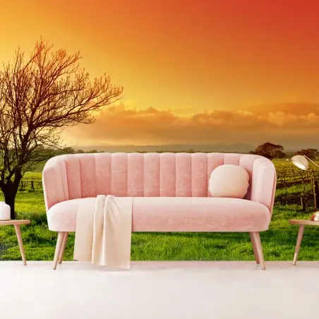 Papier peint vignoble au lever du soleil – Wallnifity®