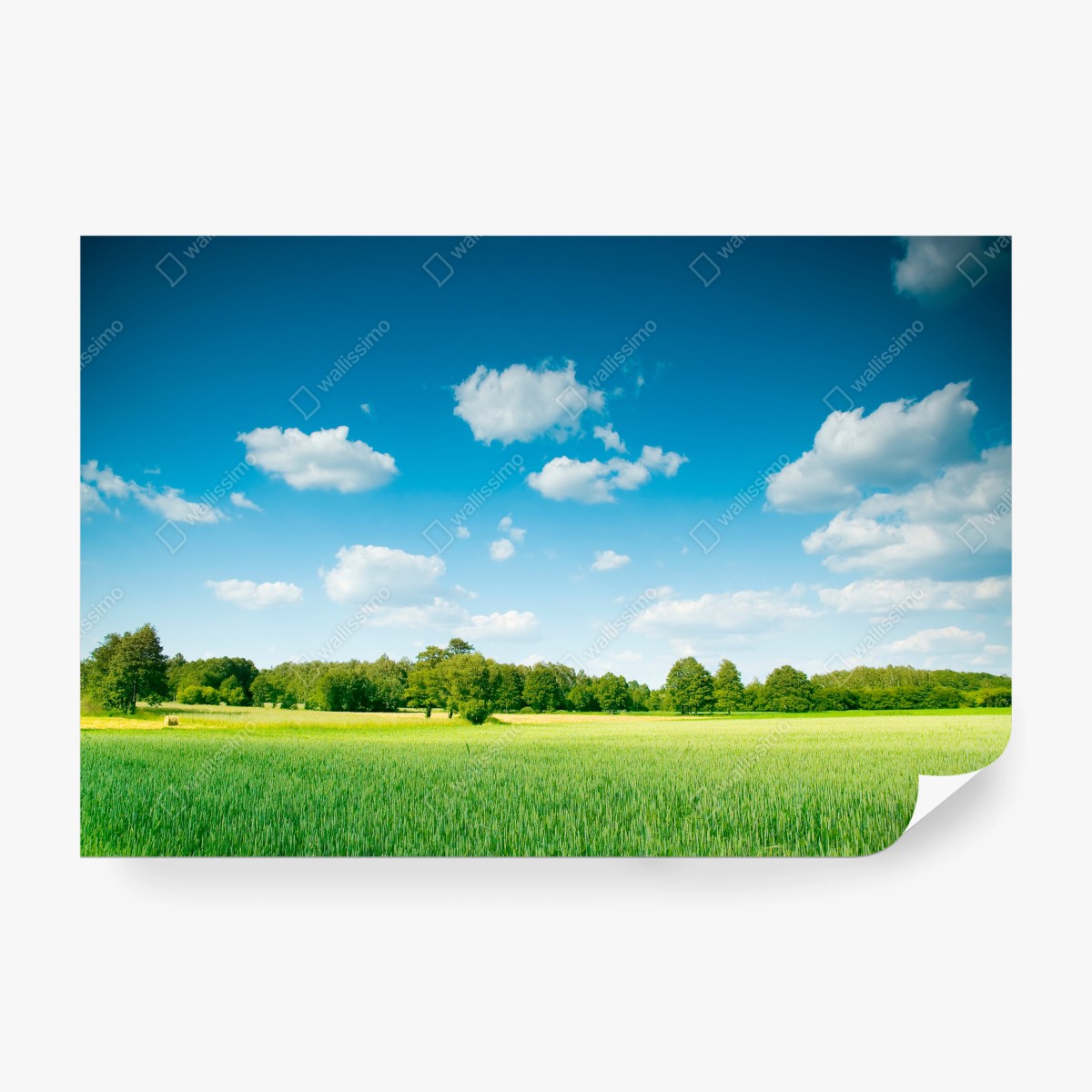 Papier peint horizon verdoyant sous ciel azur – Wallnifity®