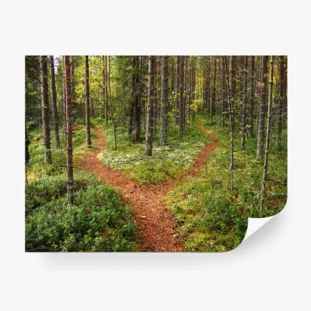 Papier peint chemin forestier en bifurcation – Wallnifity®