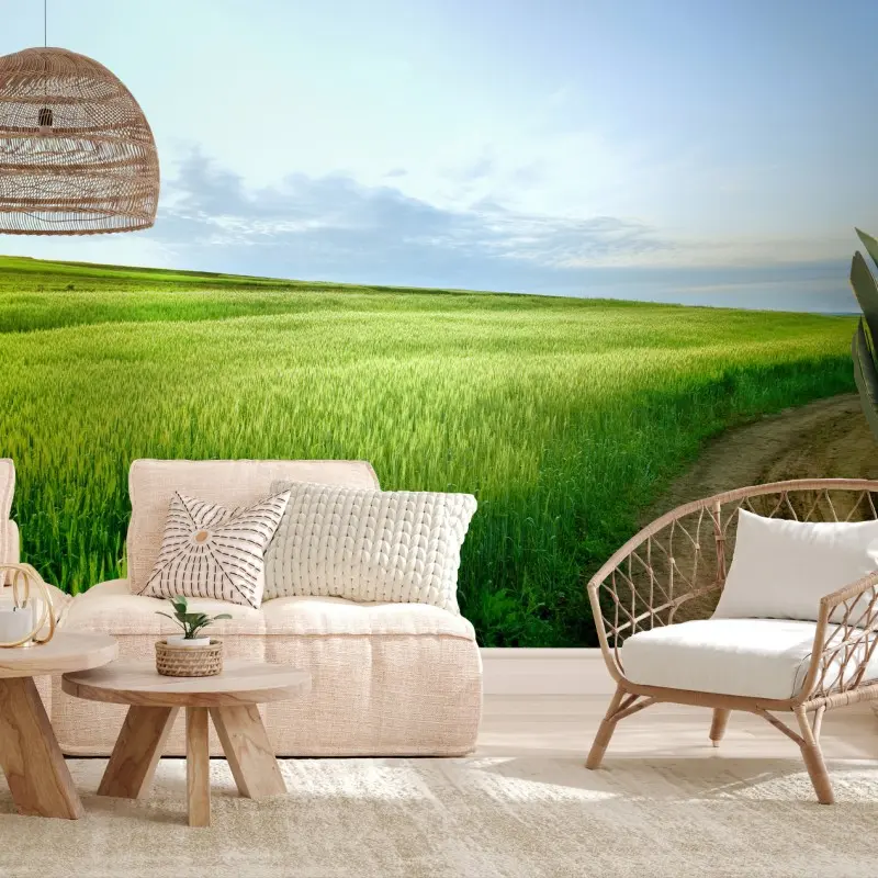 Salon – Wallnifity®