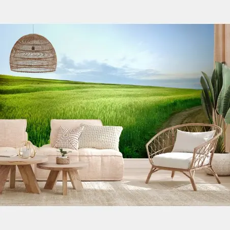 Papier peint paysage champêtre avec chemin et ciel bleu – Wallnifity®
