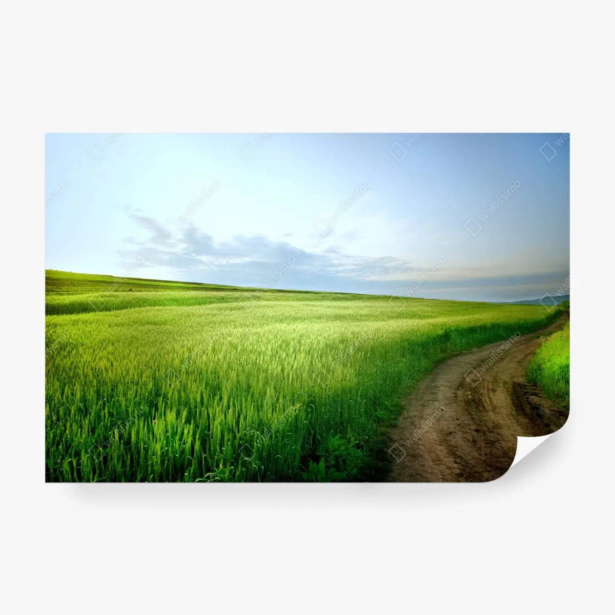 Papier peint paysage champêtre avec chemin et ciel bleu – Wallnifity®