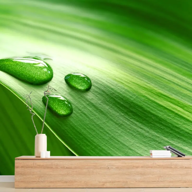 Salon – Wallnifity®
