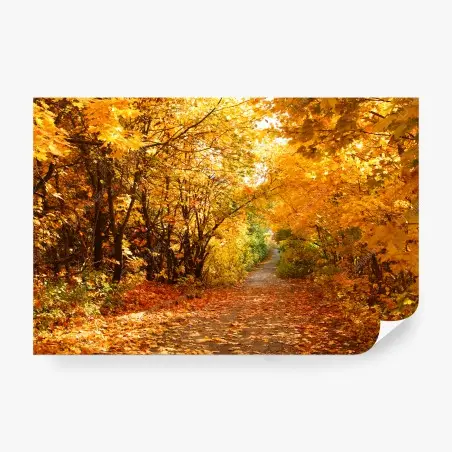 Papier peint chemin d'automne doré – Wallnifity®