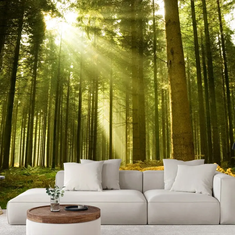 Forêts – Wallnifity®