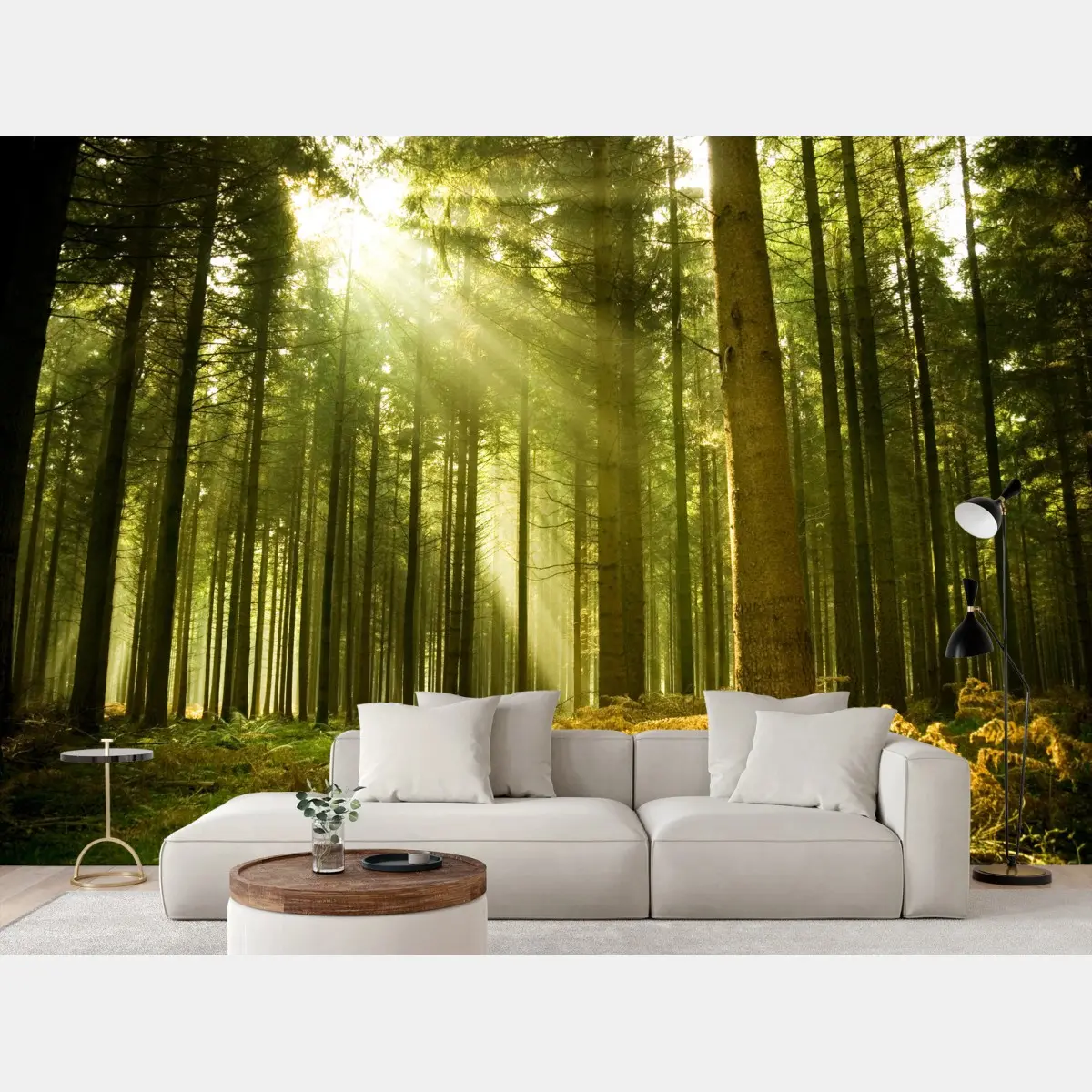 Papier peint rayons de soleil dans la forêt de pins – Wallnifity®