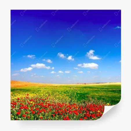 Papier peint prairie de coquelicots sous un ciel d'azur – Wallnifity®