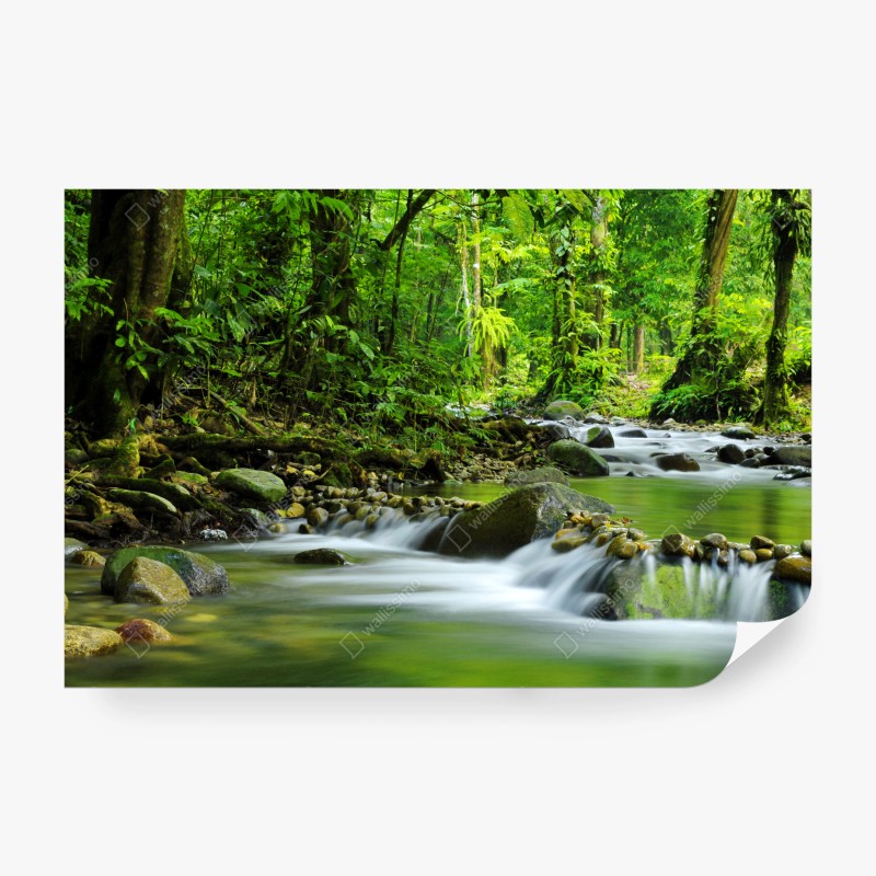 Papier peint rivière paisible en forêt verdoyante – Wallnifity® Papier peint rivière paisible en forêt verdoyante – Wallnifity®