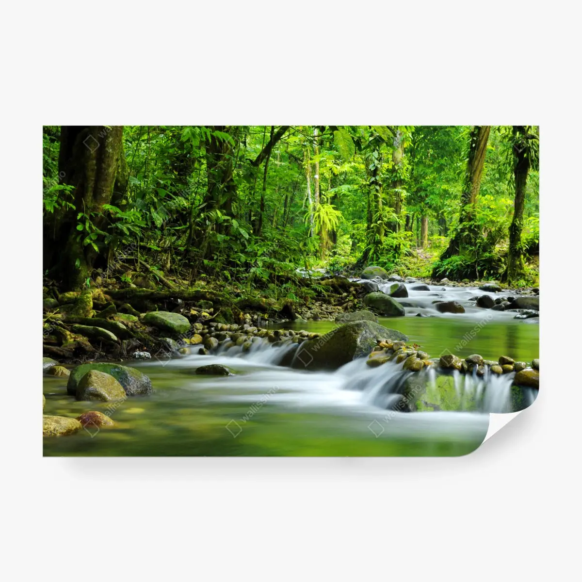 Papier peint rivière paisible en forêt verdoyante – Wallnifity®