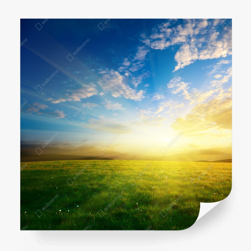 Papier peint prairie au coucher du soleil doré – Wallnifity® Papier peint prairie au coucher du soleil doré – Wallnifity®