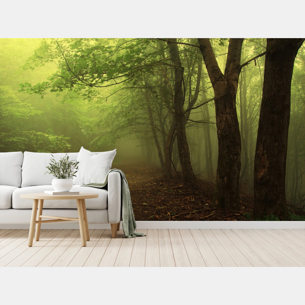 Papier peint chemin forestier dans la brume – Wallnifity®