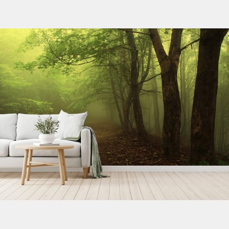 Papier peint chemin forestier dans la brume – Wallnifity®