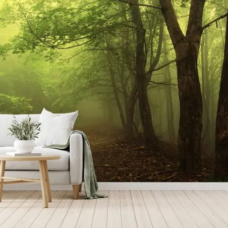 Papier peint chemin forestier dans la brume – Wallnifity®