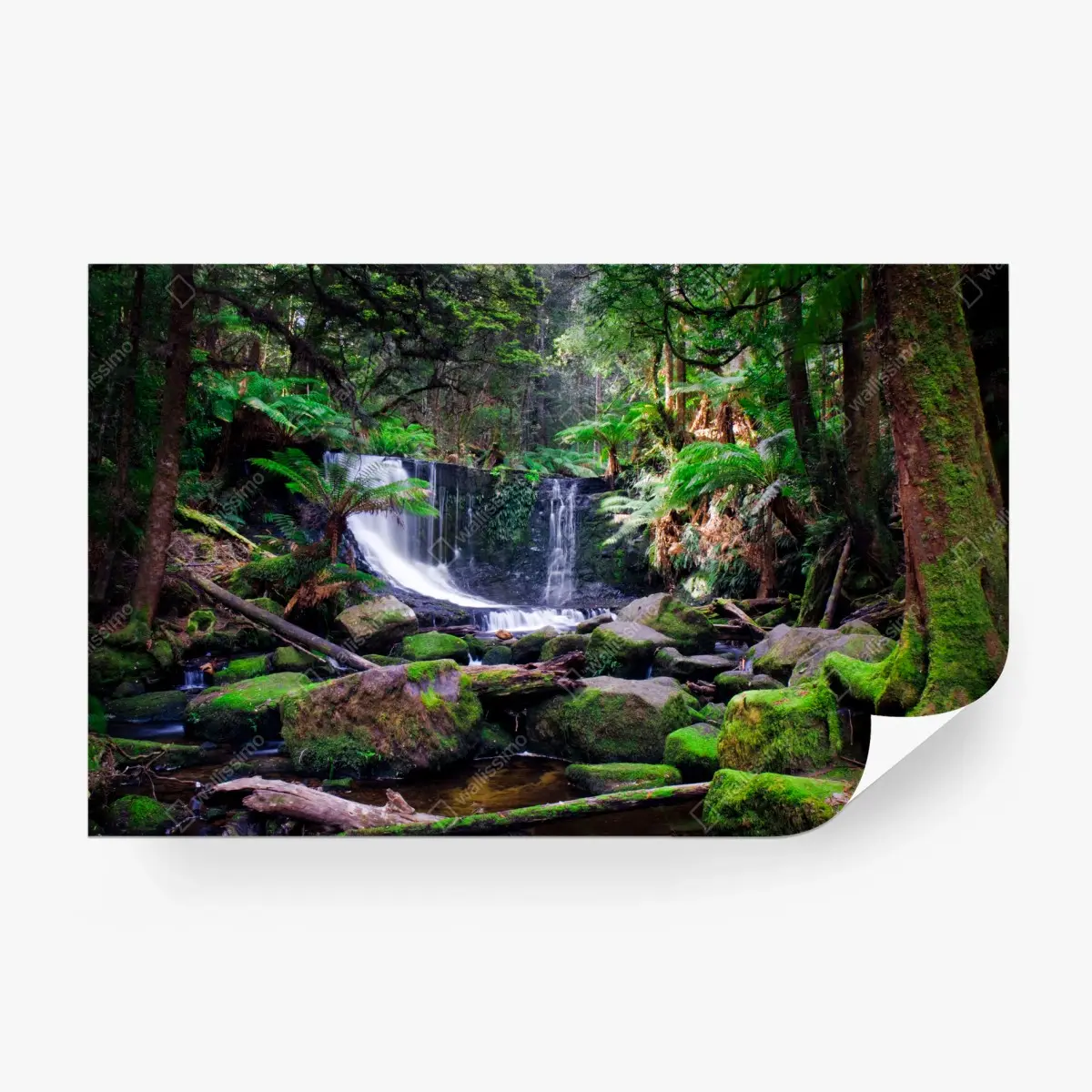 Papier peint oasis de mousse et cascade en forêt – Wallnifity®