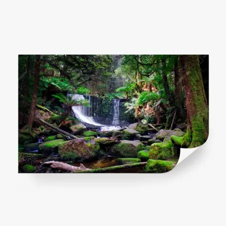 Papier peint oasis de mousse et cascade en forêt – Wallnifity®