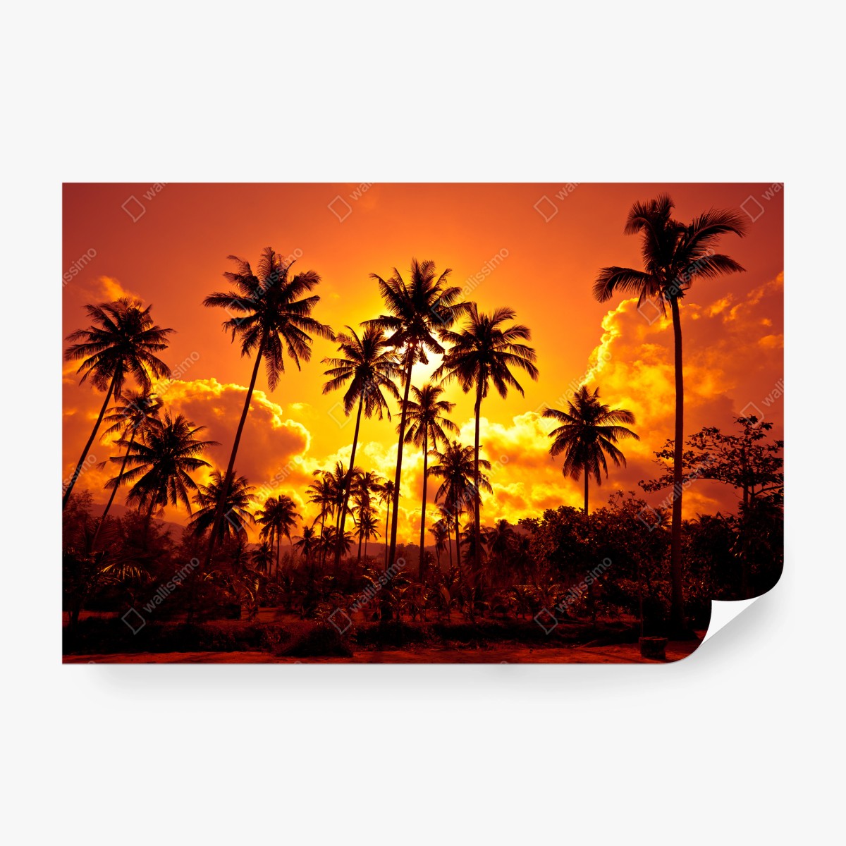 Papier peint ciel en feu et palmiers tropicaux – Wallnifity®