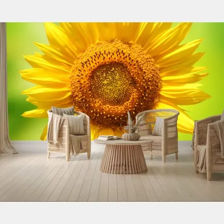 Papier peint tournesol éclatant sur fond vert – Wallnifity®