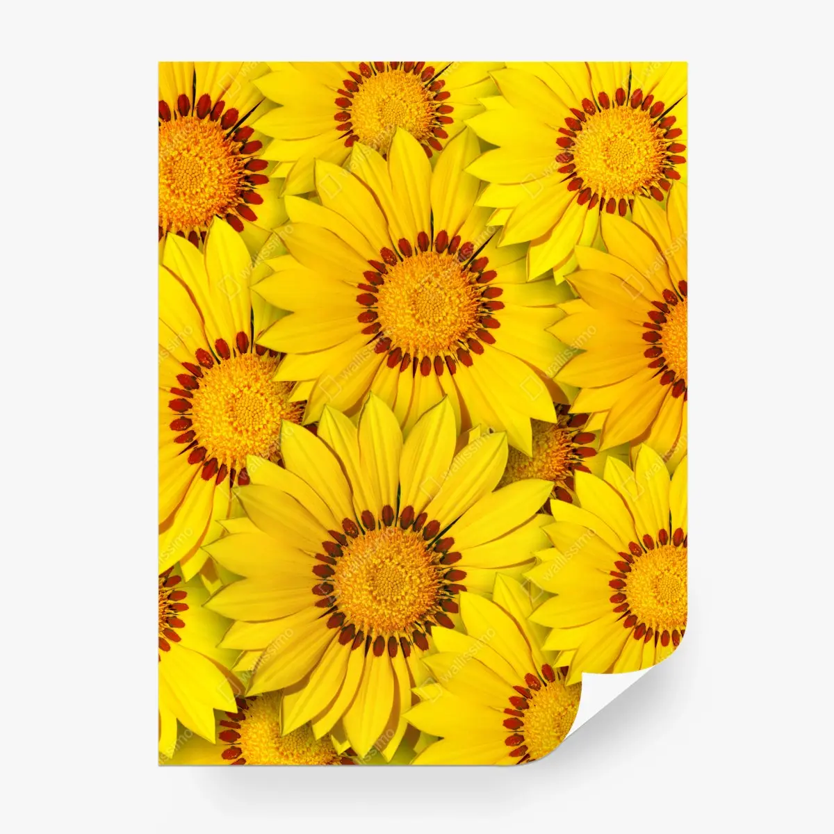 Papier peint éclat floral de tournesols jaunes – Wallnifity®