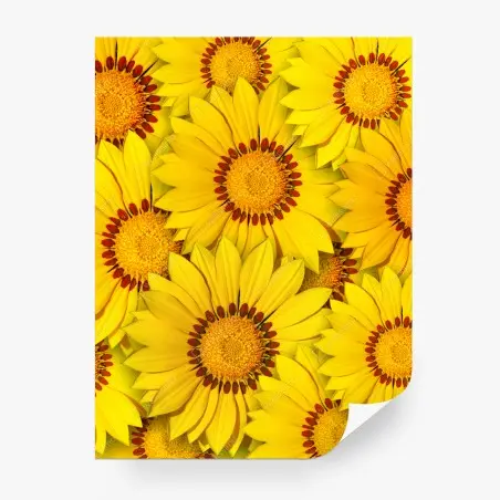 Papier peint éclat floral de tournesols jaunes – Wallnifity®