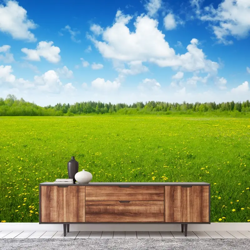 Prairies – Wallnifity®