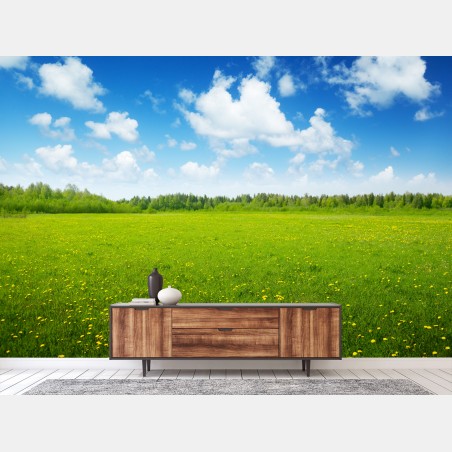 Papier peint prairie printanière sous un ciel bleu – Wallnifity®