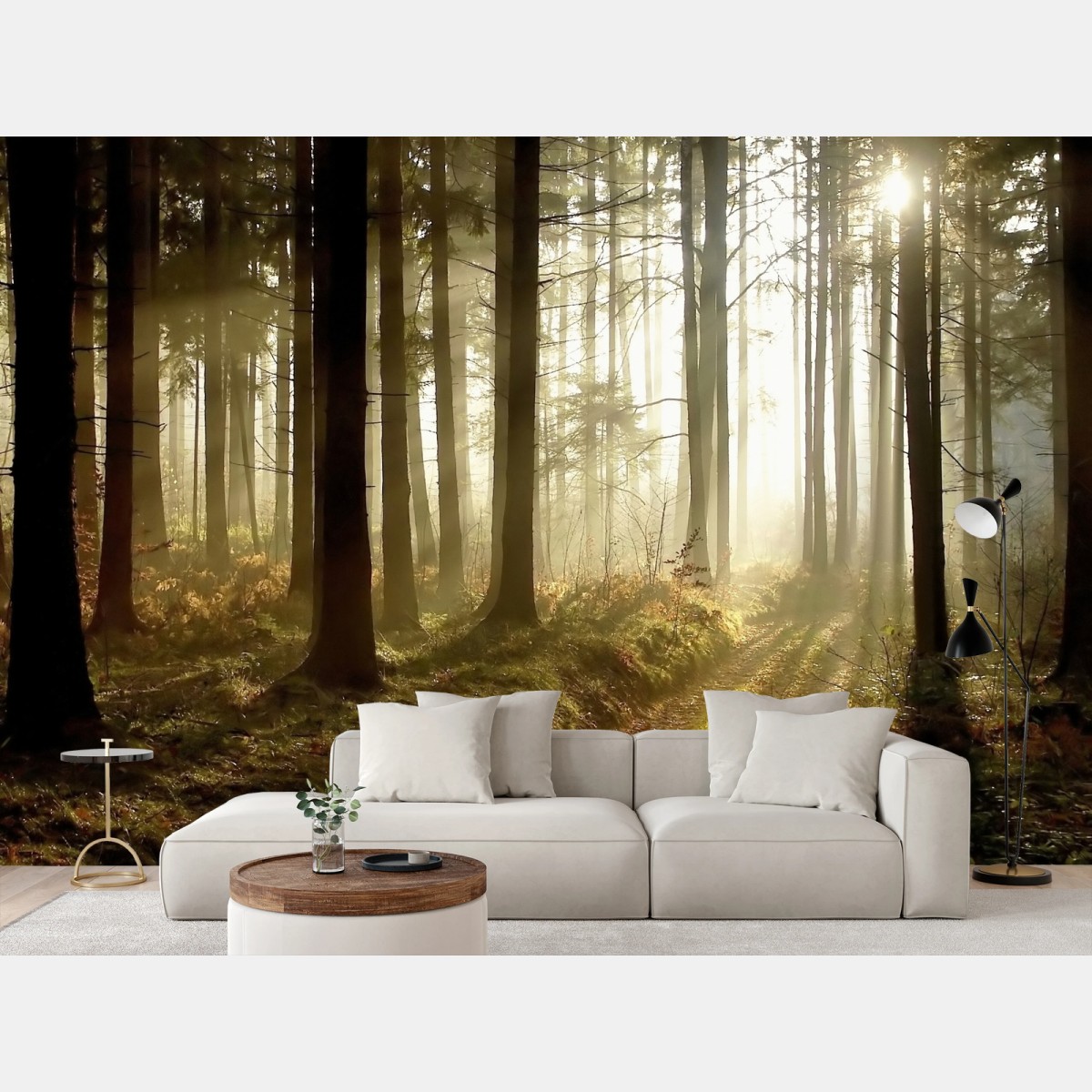 Papier peint sentier brumeux au lever du soleil – Wallnifity®