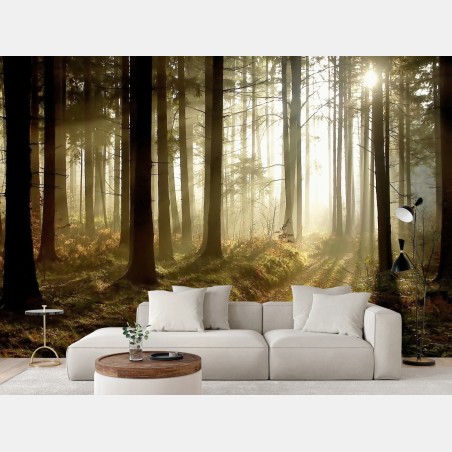 Papier peint sentier brumeux au lever du soleil – Wallnifity®