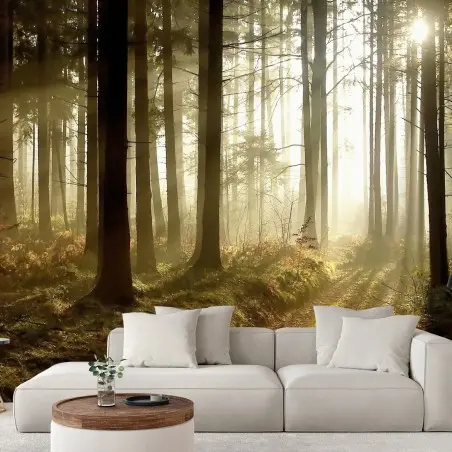 Papier peint sentier brumeux au lever du soleil – Wallnifity®