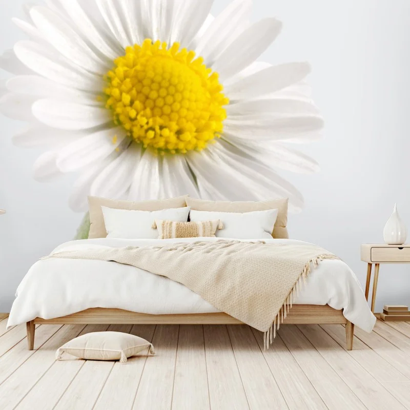 Papier peint marguerite lumineuse sur fond neutre – Wallnifity®