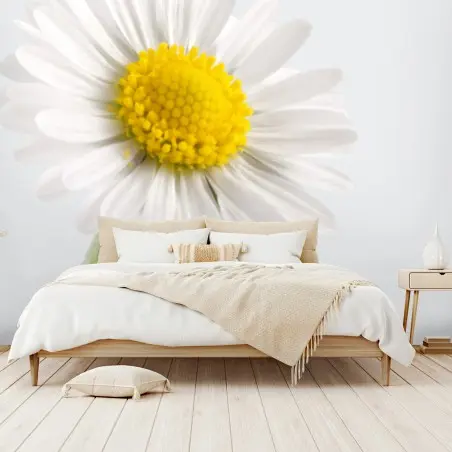 Papier peint marguerite lumineuse sur fond neutre – Wallnifity®