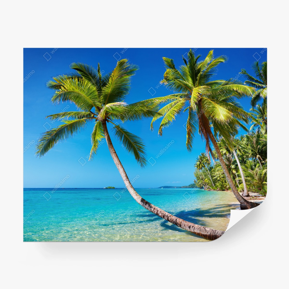 Papier peint paradis tropical à Kood, Thaïlande – Wallnifity®