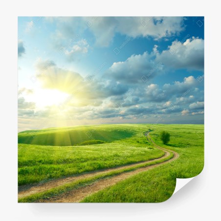 Papier peint route sinueuse au cœur d'une prairie verdoyante – Wallnifity®