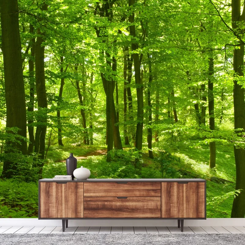 Papier peint forêt verdoyante baignée de lumière – Wallnifity® Papier peint forêt verdoyante baignée de lumière – Wallnifity®