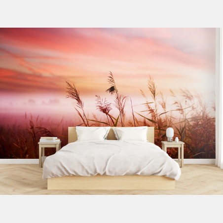Papier peint roseaux au lever du soleil – Wallnifity®