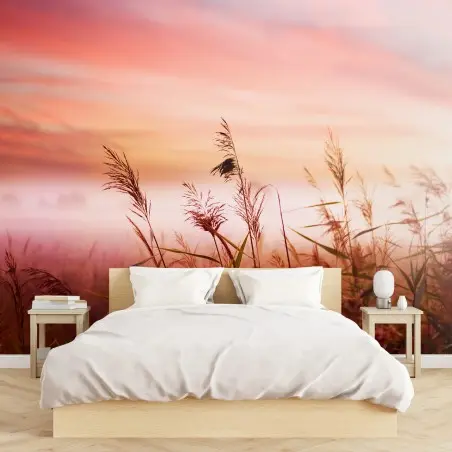 Papier peint roseaux au lever du soleil – Wallnifity®