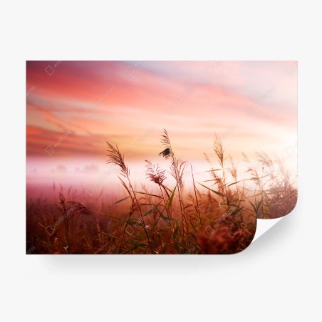 Papier peint roseaux au lever du soleil – Wallnifity®