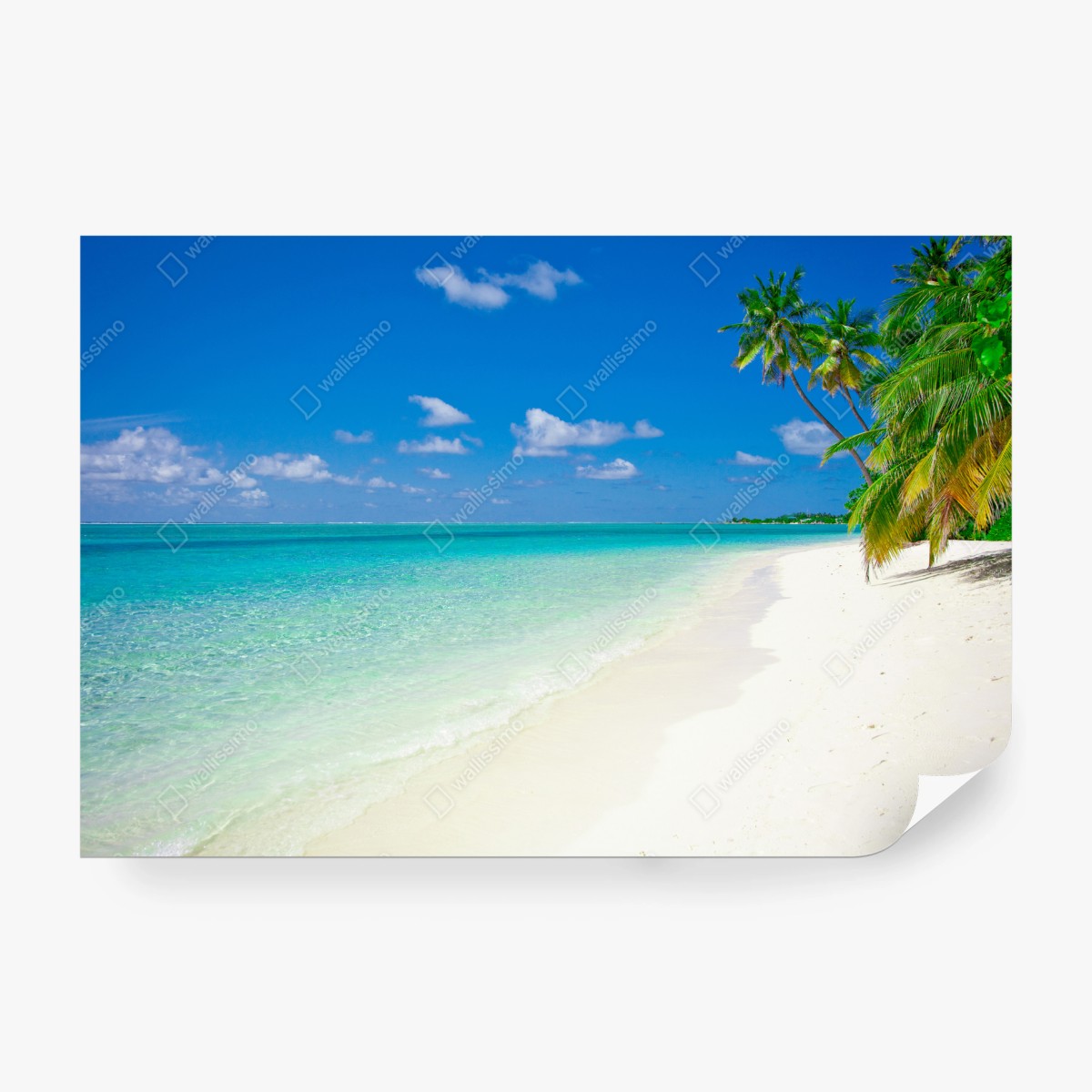 Papier peint plage tropicale aux eaux turquoise – Wallnifity® Papier peint plage tropicale aux eaux turquoise – Wallnifity®