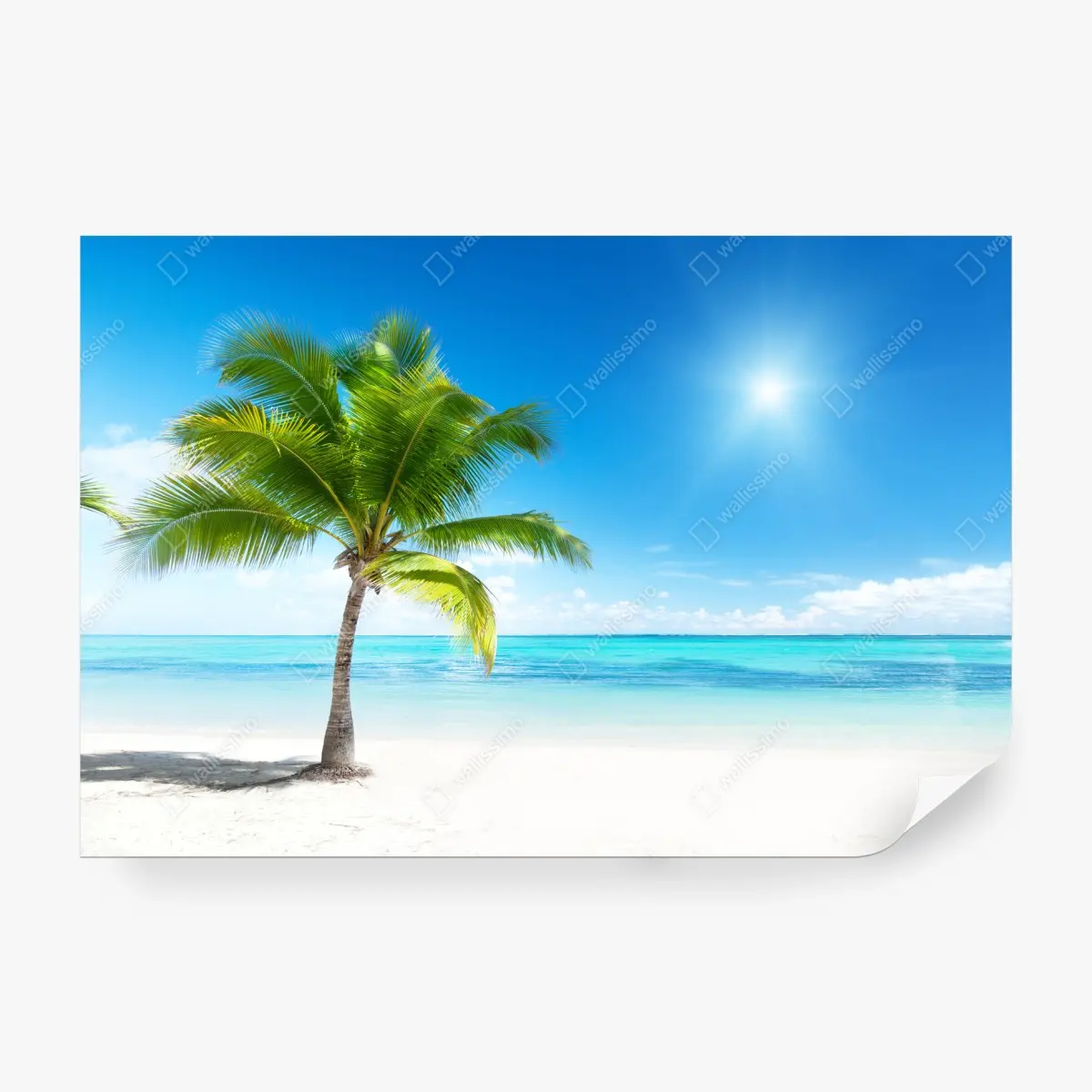 Papier peint palmier sur plage tropicale – Wallnifity®