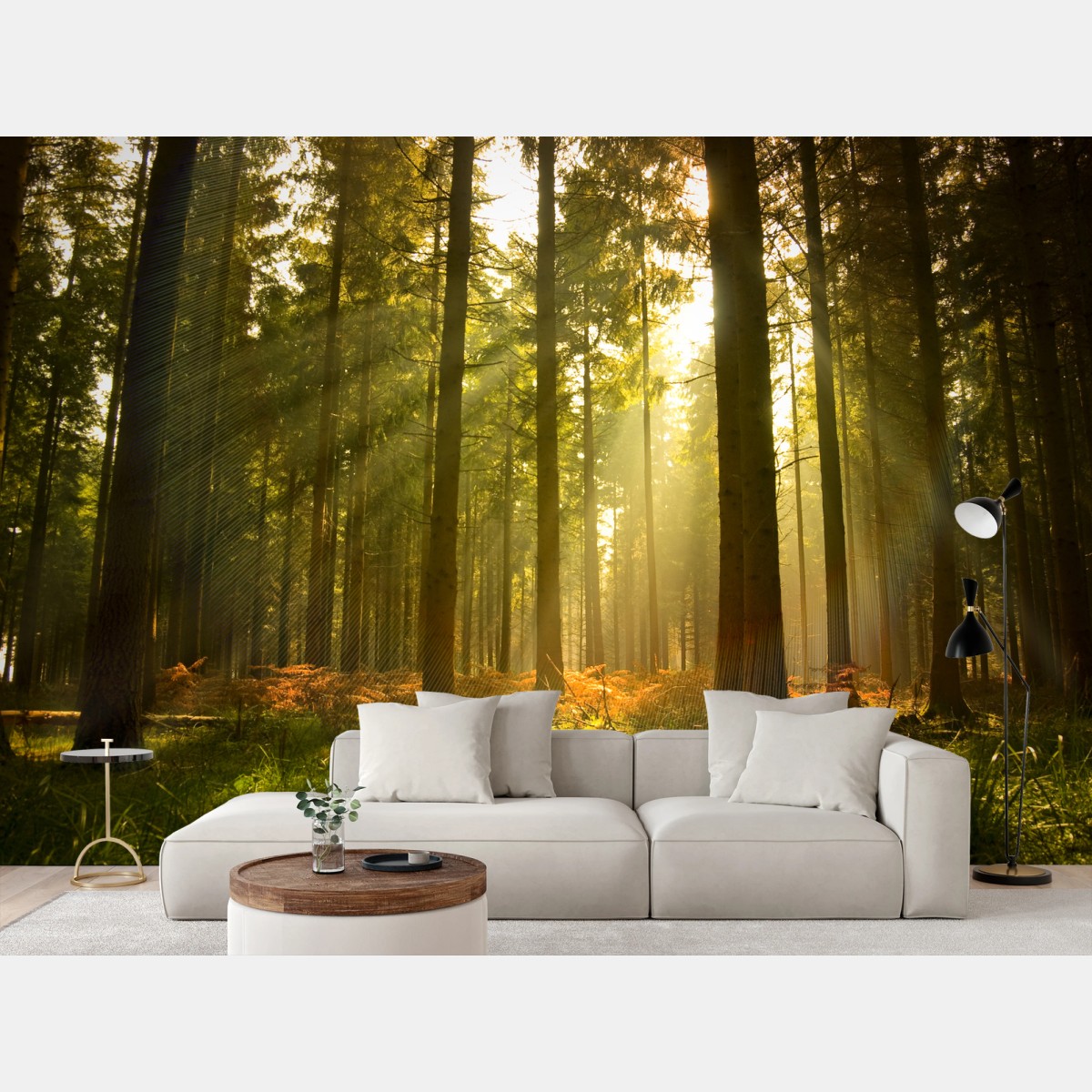 Papier peint forêt dorée au crépuscule – Wallnifity®
