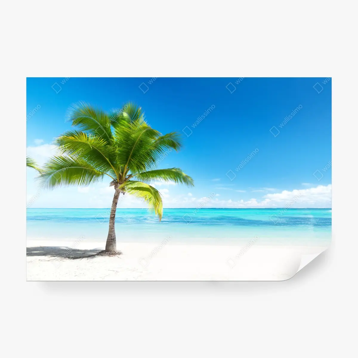 Papier peint cocotier sur plage paradisiaque – Wallnifity®