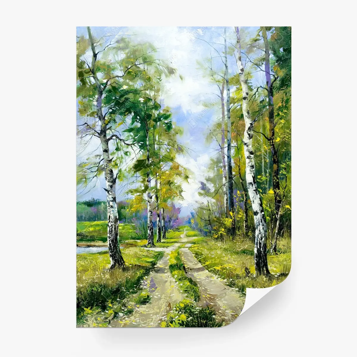 Papier peint sentier de bouleaux en lisière de bois – Wallnifity®