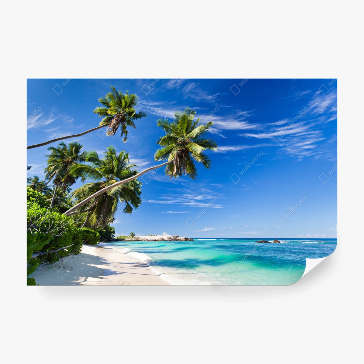 Papier peint plage tropicale aux palmiers penchés – Wallnifity® Papier peint plage tropicale aux palmiers penchés – Wallnifity®