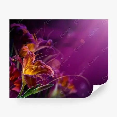 Papier peint fleurs lumineuses sur fond violet – Wallnifity®