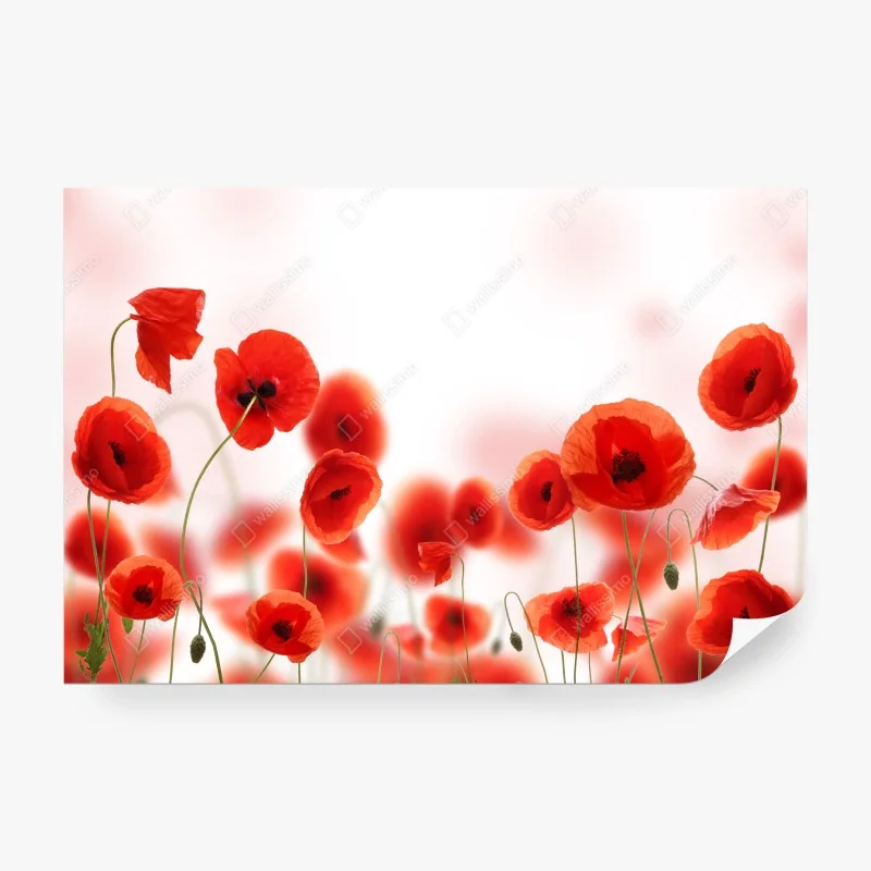 Papier peint coquelicots rouges sur fond lumineux – Wallnifity® Papier peint coquelicots rouges sur fond lumineux – Wallnifity®