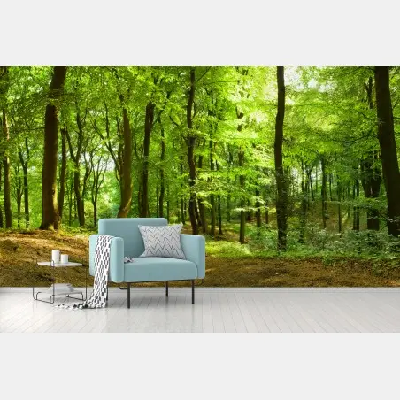 Papier peint forêt verdoyante au soleil – Wallnifity®