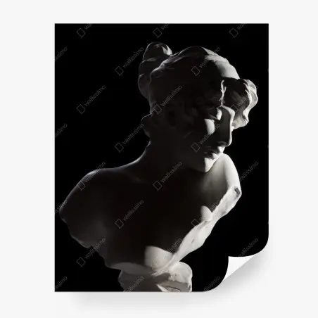 Papier peint buste classique en marbre au clair-obscur – Wallnifity®