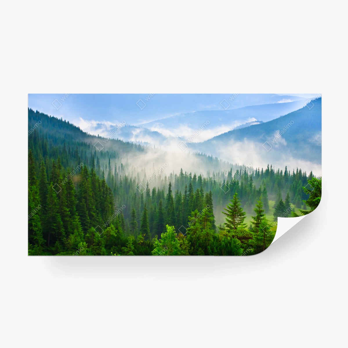 Papier peint brume matinale sur les Carpates – Wallnifity®
