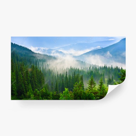 Papier peint brume matinale sur les Carpates – Wallnifity®