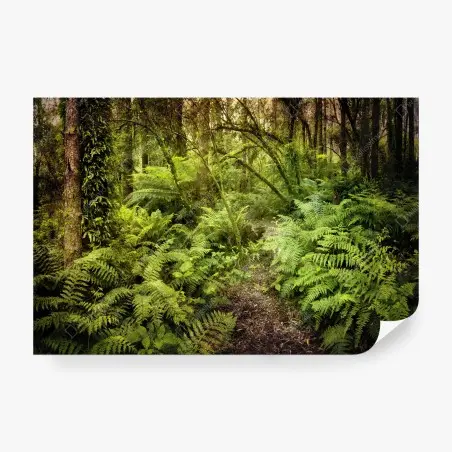 Papier peint sentier de fougères dans une forêt mystérieuse – Wallnifity®