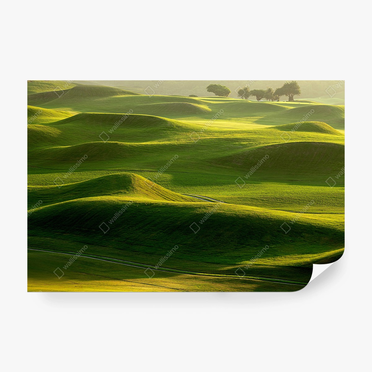 Papier peint vagues de collines verdoyantes – Wallnifity®